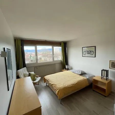 Geneva Residences - Cozy Close To Un * Ferney-Voltaire